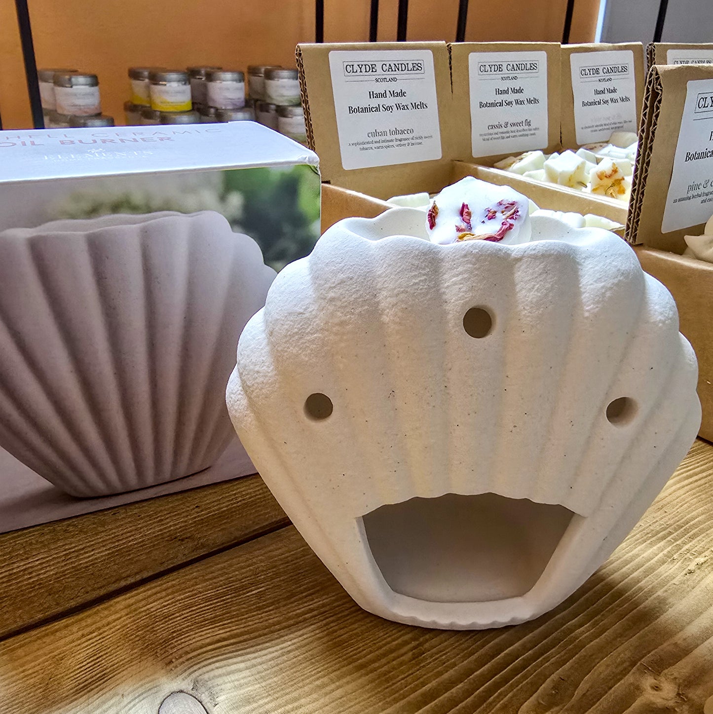 Seashell Wax Melter